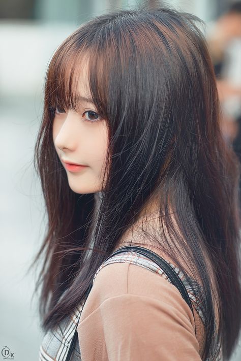 战狼3完整免费观看在线播放版